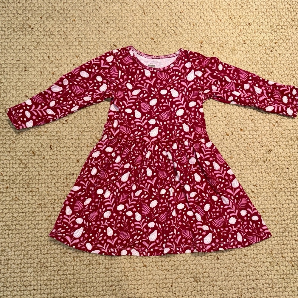 EUC Winter Water Factory Holiday Floral Dress, size 4T